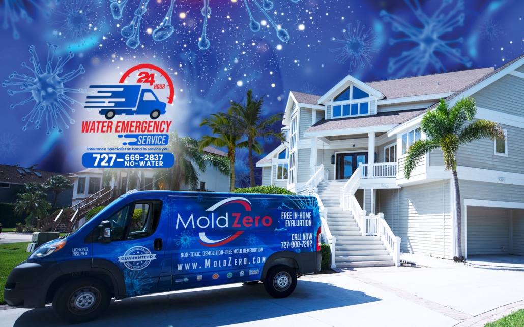 Safer Home Services in Clearwater 