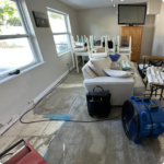 Image showcasing Mold Remediation Company In Florida | Mold Zero