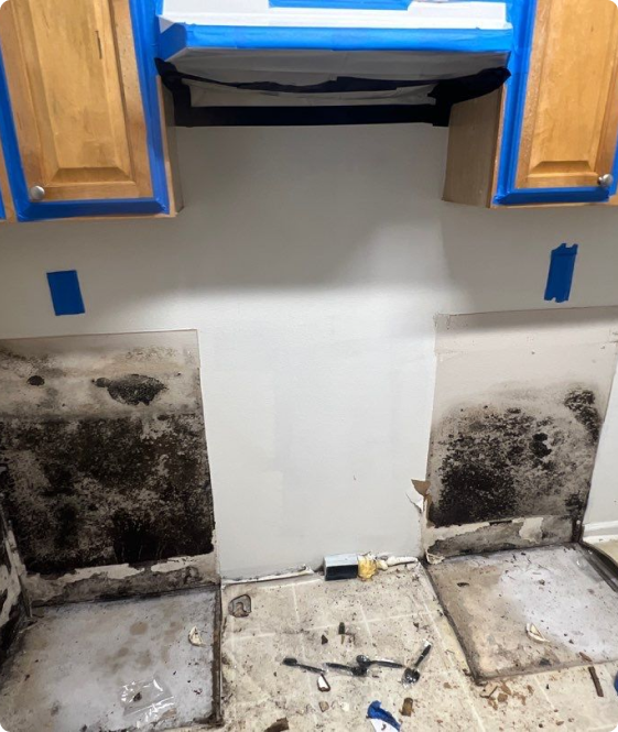 Odor Removal Services