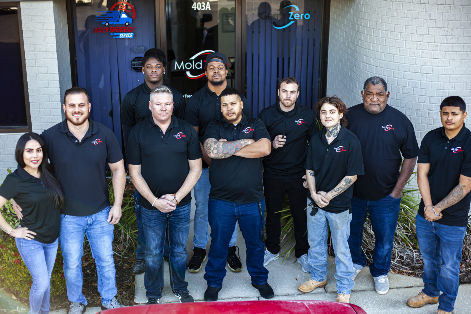 Stunning Zero-Waste Mold Remediation Companies image