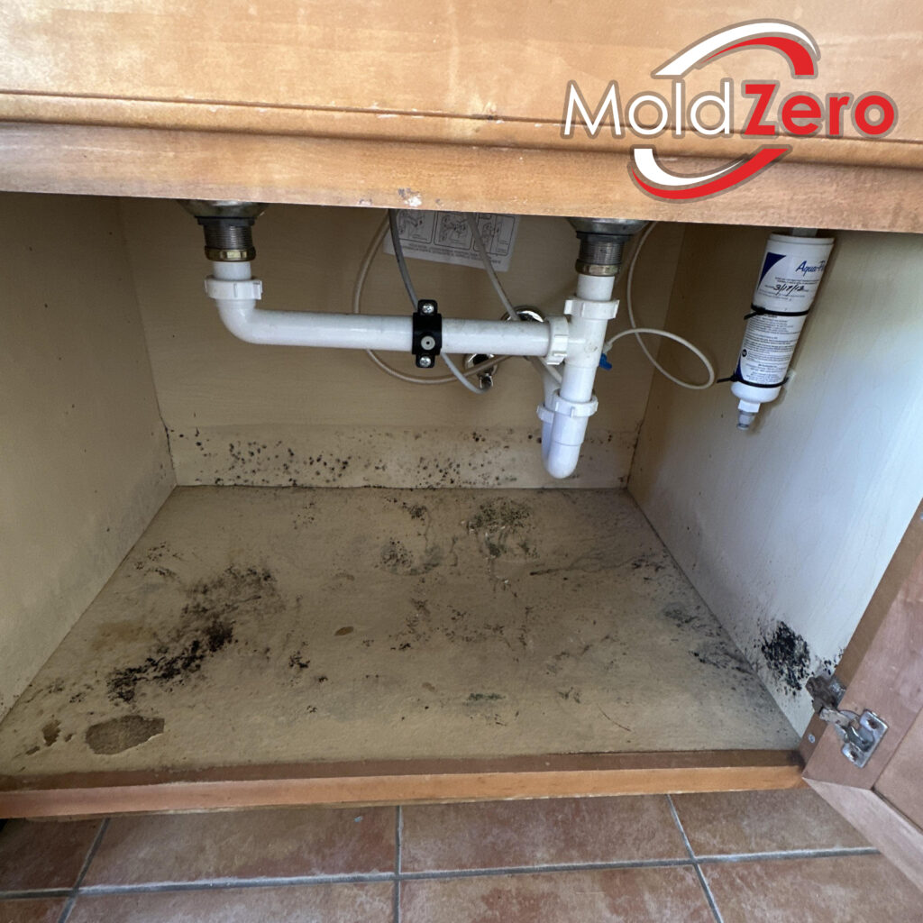 How to Tell if There’s Hidden Mold When Buying A Home