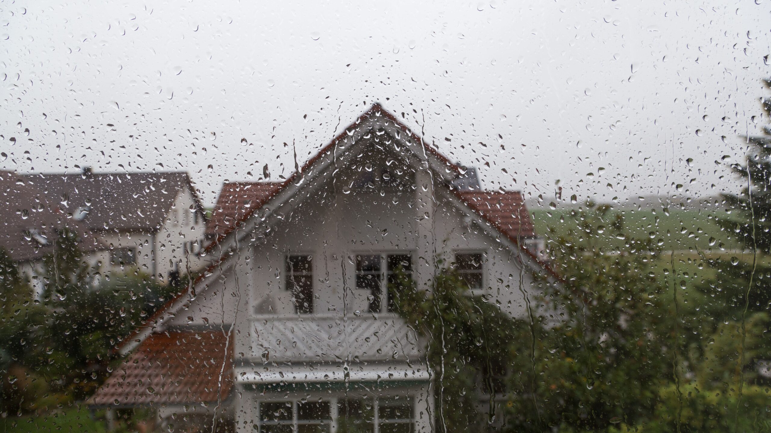Why Fall Is Mold Season in Tampa Bay (1)