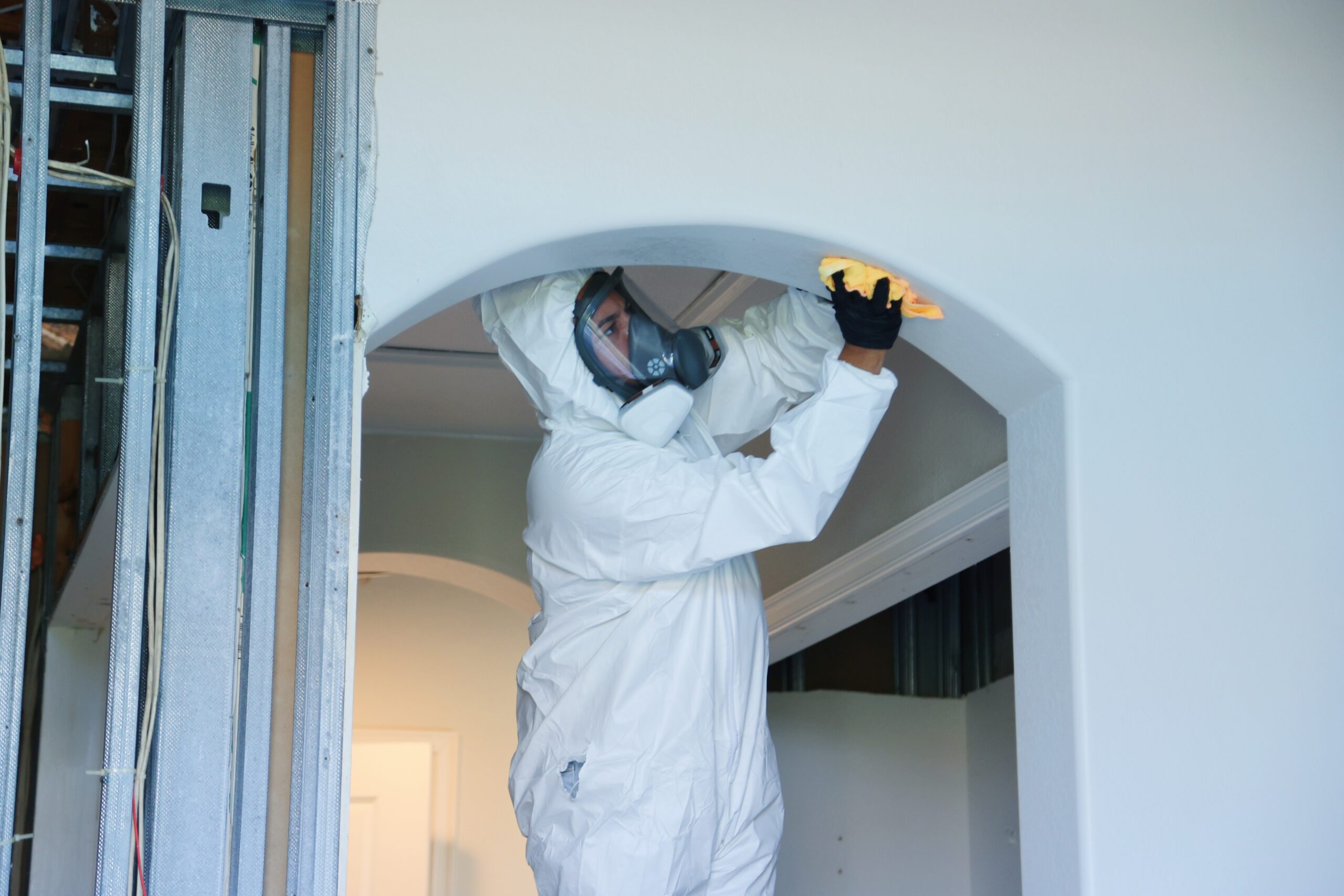 How to remove Black Mold safely