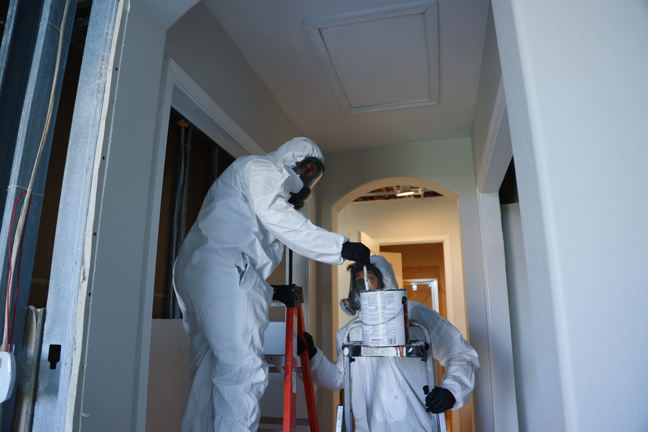 Mold Remediation: How Mold Zero Helps