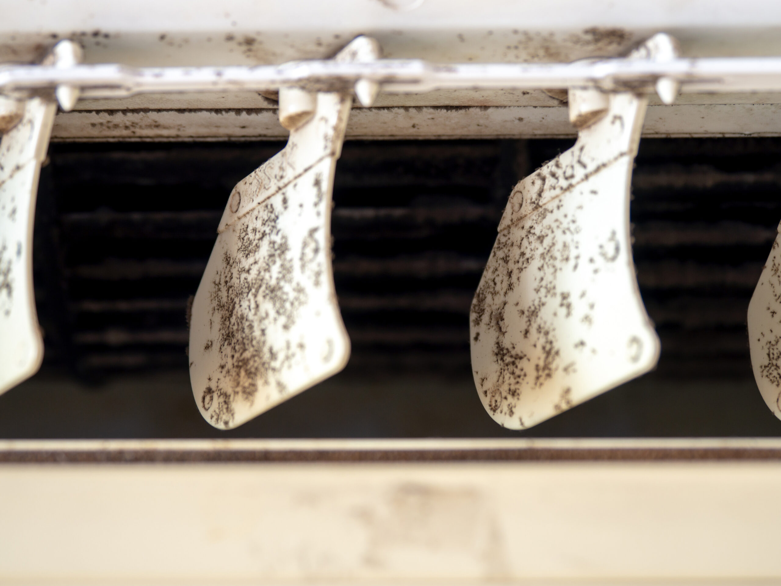 Mold in HVAC systems