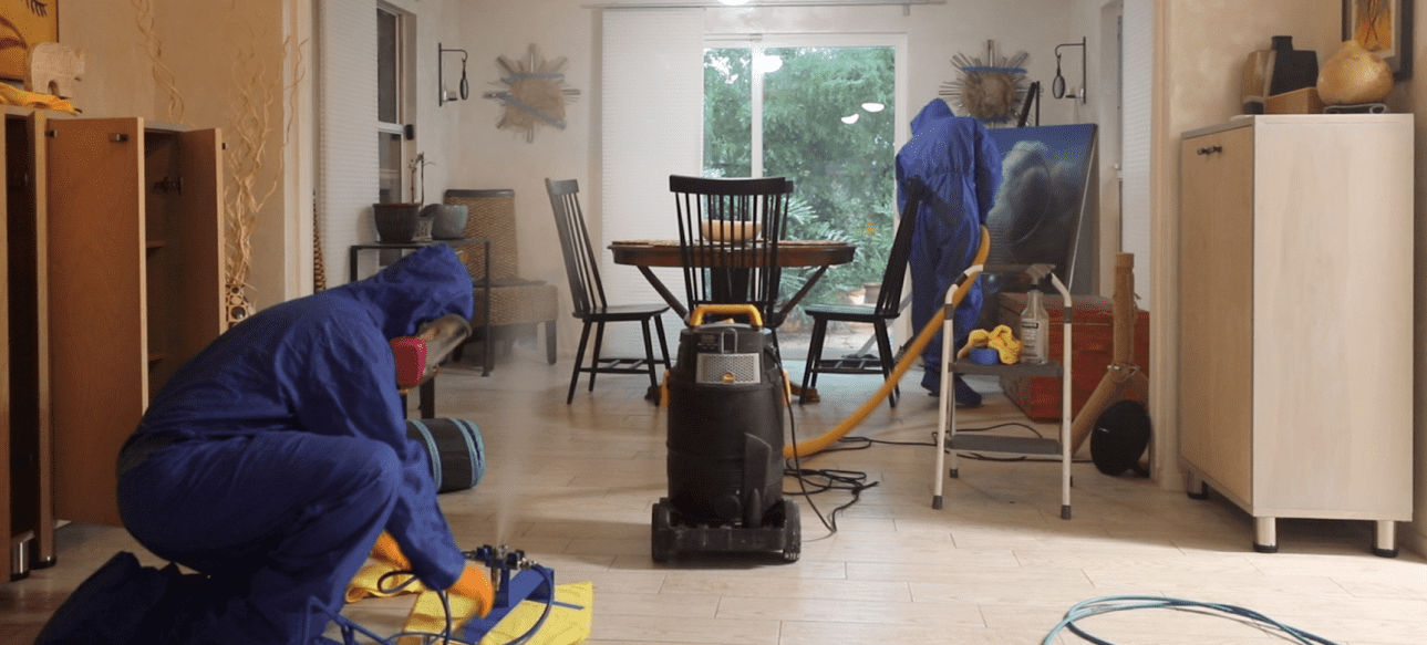 Image showcasing Mold Remediation Company In Florida | Mold Zero